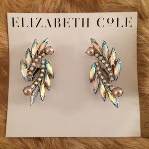 Elizabeth Cole Earrings
