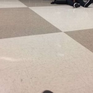 Meet your Posher, Shelly