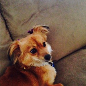 Meet your Posher, Amanda