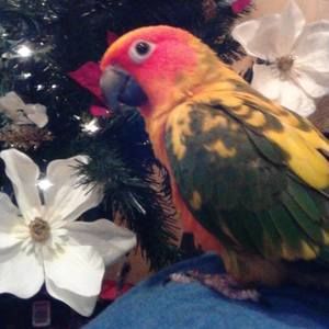 Meet your Posher, Sandy