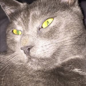 Meet your Posher, Niki