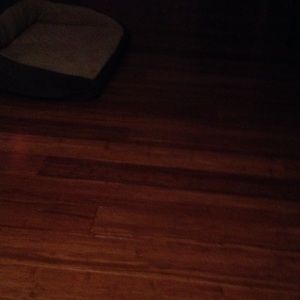 Meet your Posher, Nolan