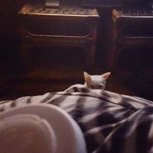 Meet your Posher, James