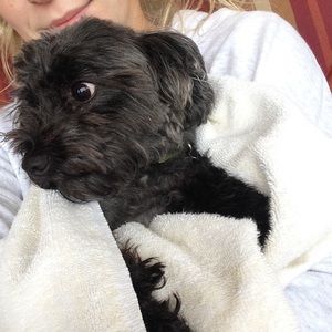 Meet your Posher, Taylor