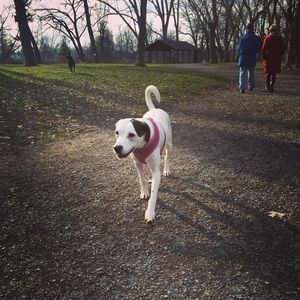 Meet your Posher, Brittany