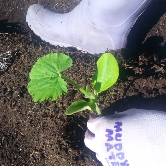 Meet your Posher, Ashley - Picture 6 of 7