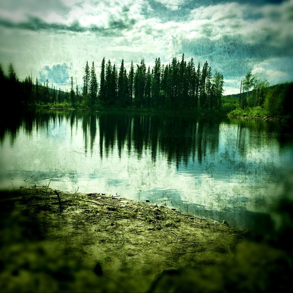 Meet your Posher, Ashley - Picture 7 of 7