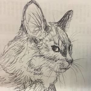 Meet your Posher, Lisette