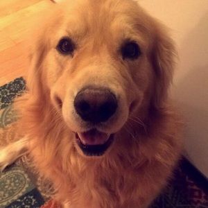 Meet your Posher, Jacy