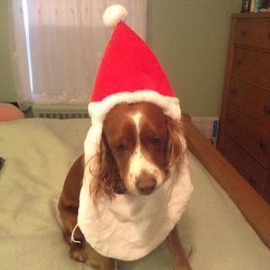 Meet your Posher, Cathy