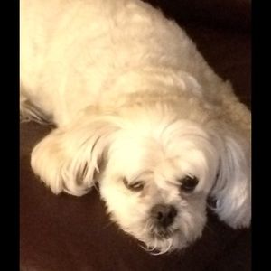 Meet your Posher, Jean