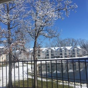 Meet your Posher, Anwar