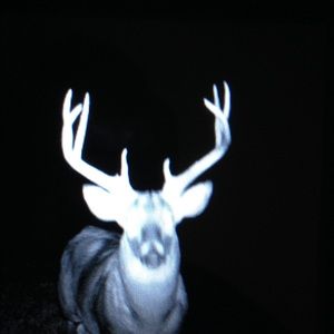 Meet your Posher, Jillian