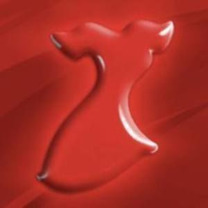 Meet your Posher, Teri