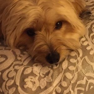 Meet your Posher, Aleksandra