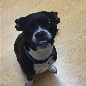 Meet your Posher, Taylor