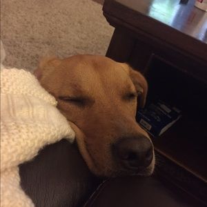 Meet your Posher, Taylor