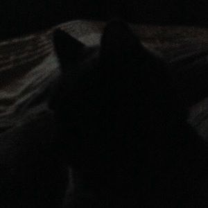 Meet your Posher, Anita