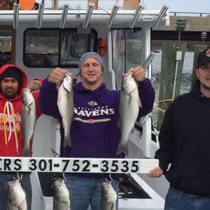 Meet your Posher, Wayne