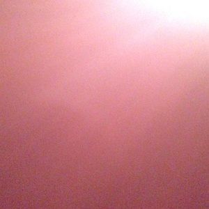 Meet your Posher, Shanta