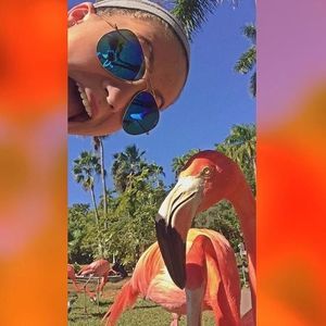 Meet your Posher, Nora