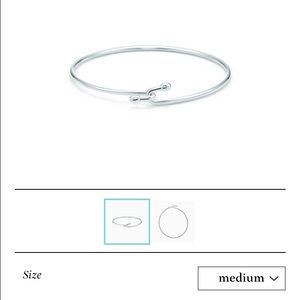 Tiffany & Co. Bangle ONLY