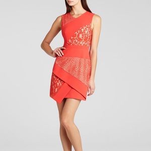 NWT.BCBG Dahlia Dress