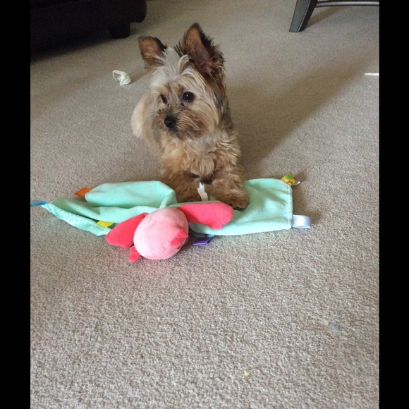 Meet your Posher, Michelle - Picture 1 of 1