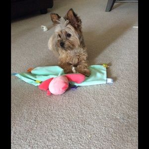 Meet your Posher, Michelle