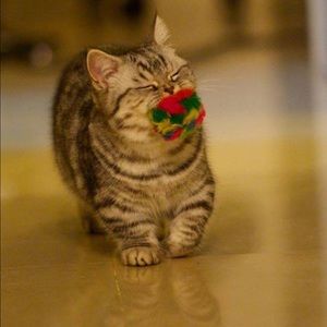 Meet your Posher, Mi jin