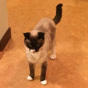 Meet your Posher, Jackie