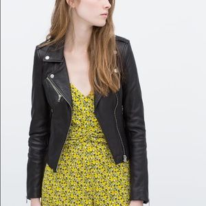 Zara leather moto jacket