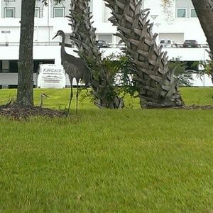 Meet your Posher, Nanette