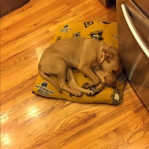 Meet your Posher, Daphne