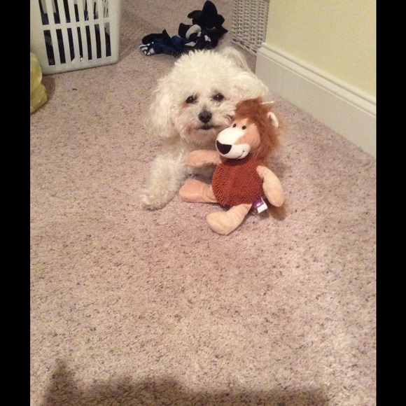 Meet your Posher, Anna maria