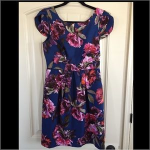Stunning Anthropologie floral dress size 6