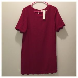 NWT Cranberry red scalloped shift dress