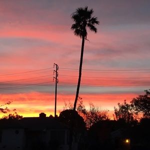 Meet your Posher, Claudia