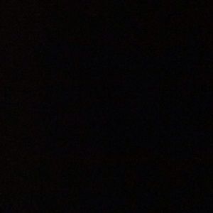 Meet your Posher, Rose