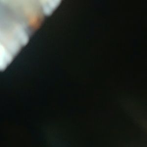 Meet your Posher, Billie