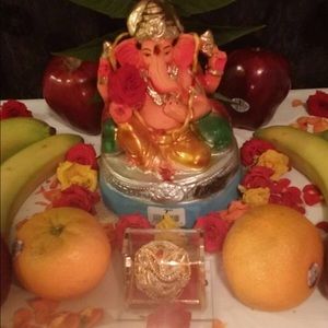Meet your Posher, Pallavi