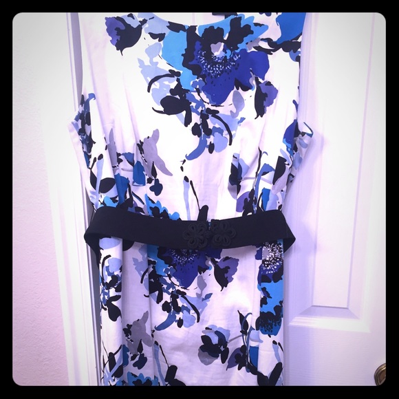 Lane Bryant Knee Length Dress with Belt