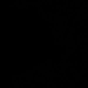 Meet your Posher, Marcia