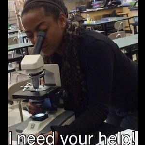 Meet your Posher, Lynne