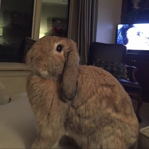 Meet your Posher, Tyler