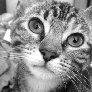 Meet your Posher, Jalynne