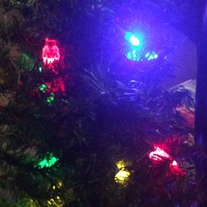 Meet your Posher, Ellen