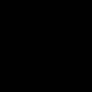 Meet your Posher, Cierra