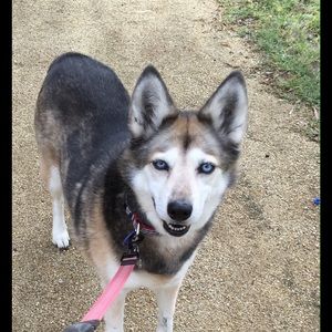 Meet your Posher, Anne