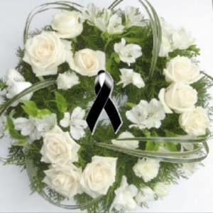 Meet your Posher, Modesta